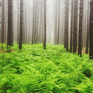 From one of the loops. Photo by Katie, Runner 2.