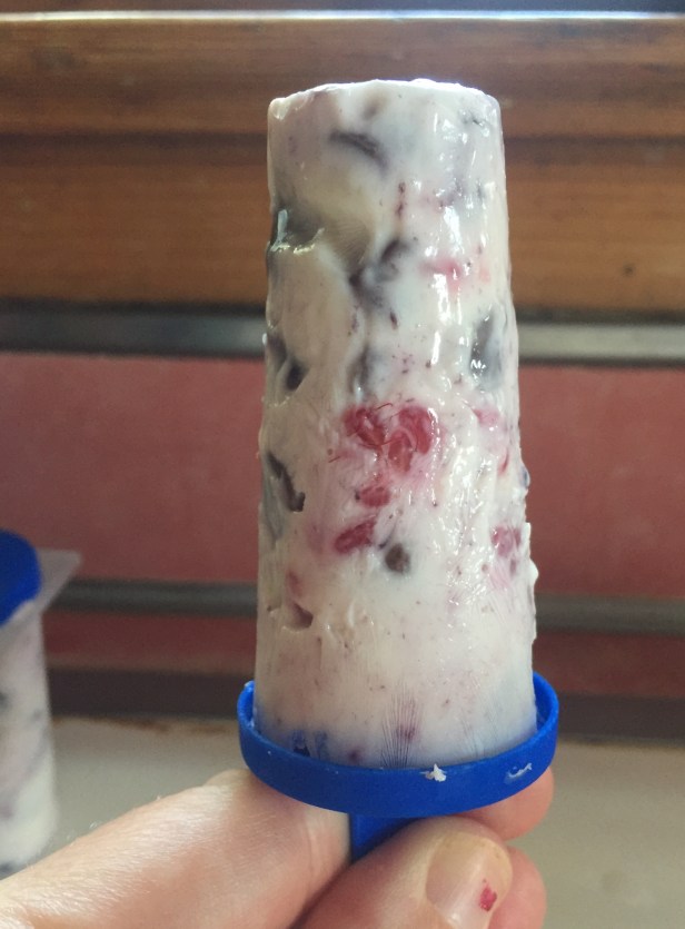 Berry and honey popsickles