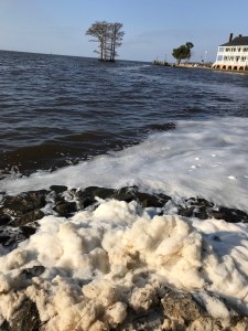 Foam on the water of Edenton Bay.